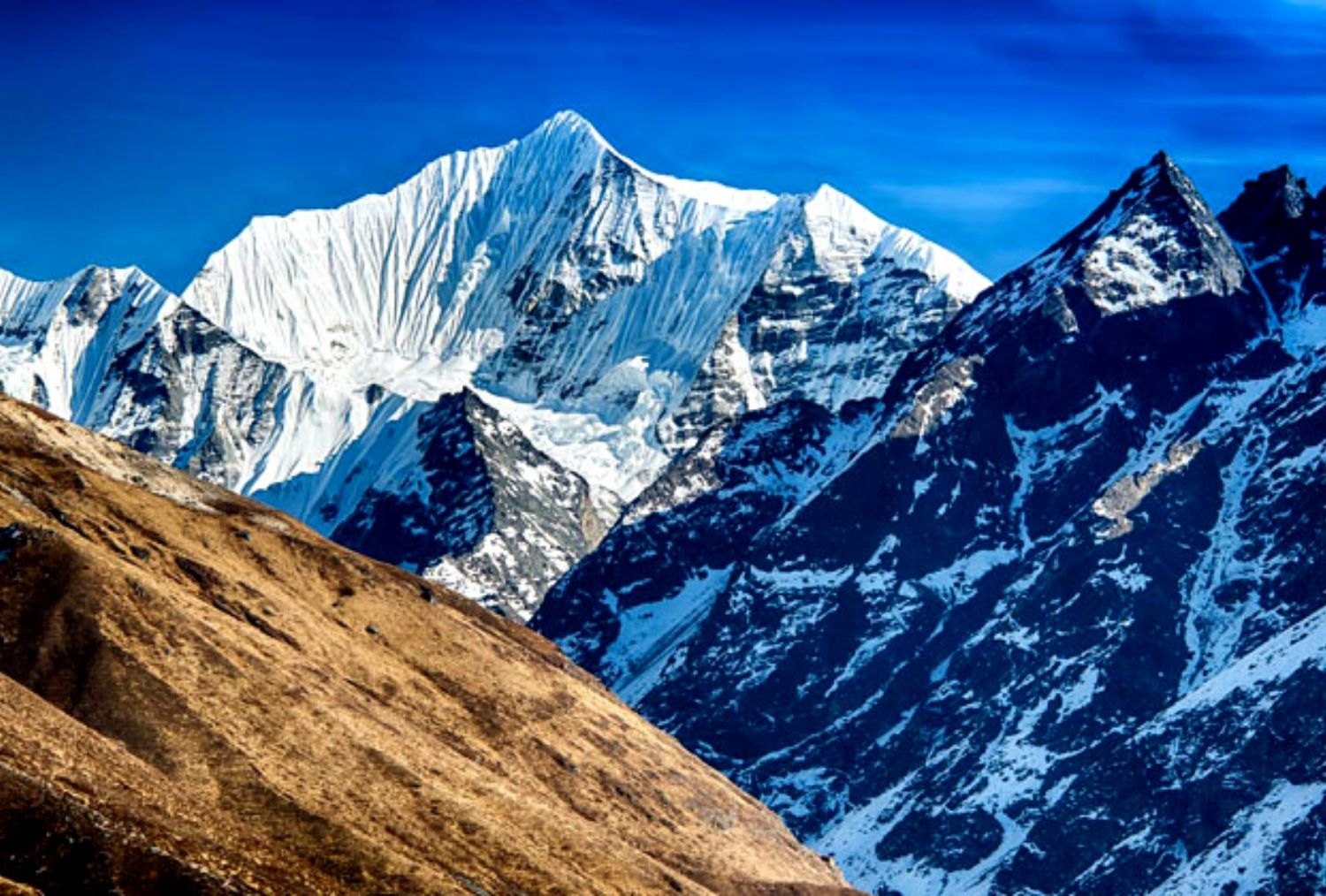 Trekking in Langtang National Park 