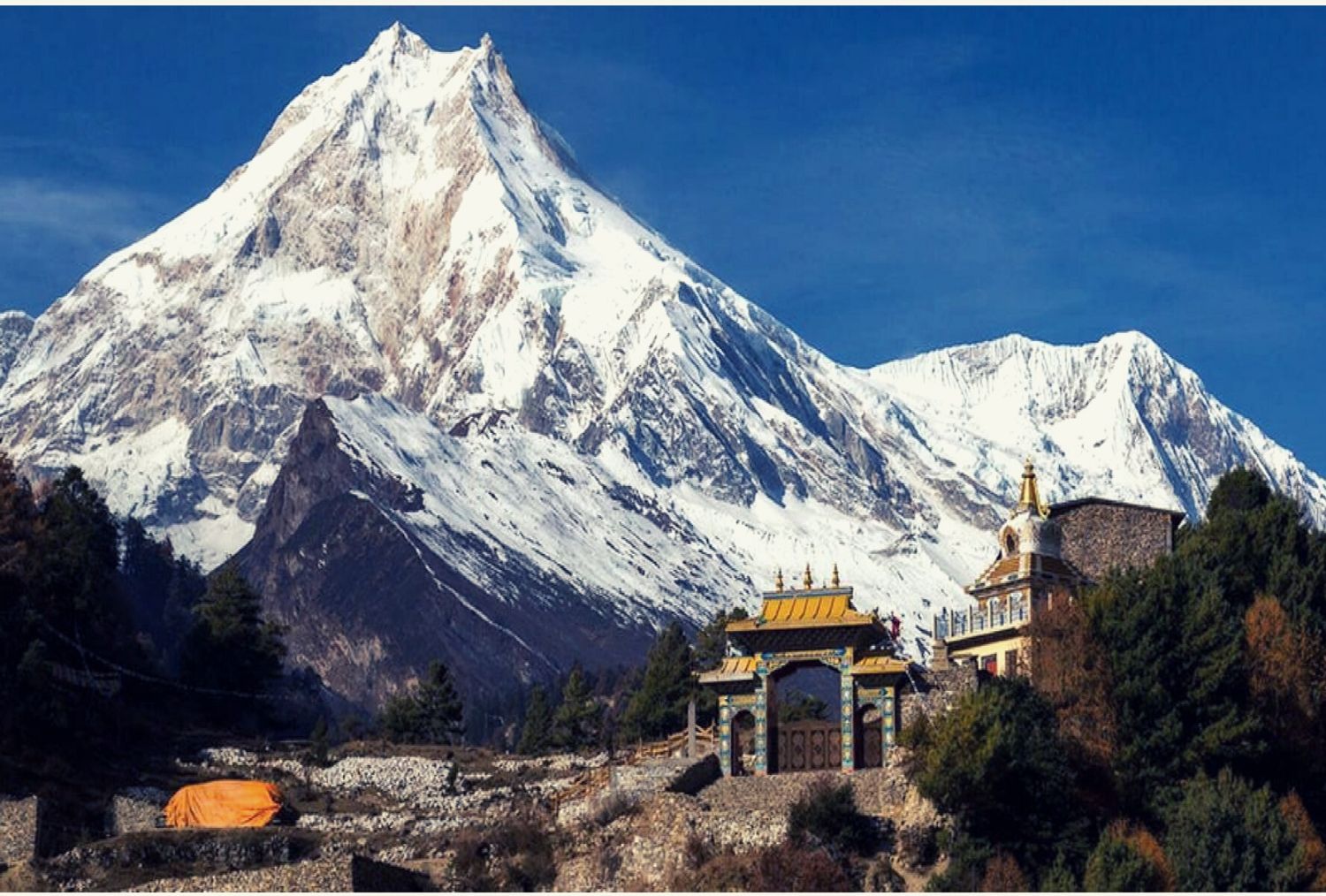 Manasalu Conservation Area 